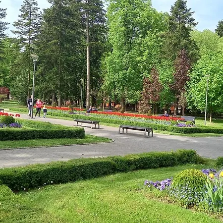 Vila Izvor,sneznik 100m Od Pesacke Zone Bulevar Srpskih Ratnika 55a