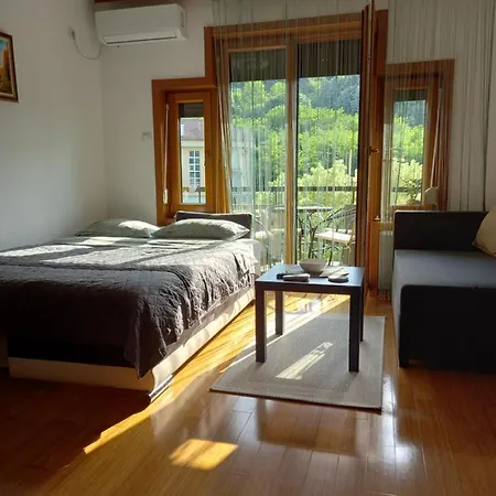 Vila Izvor,sneznik 100m Od Pesacke Zone Bulevar Srpskih Ratnika 55a