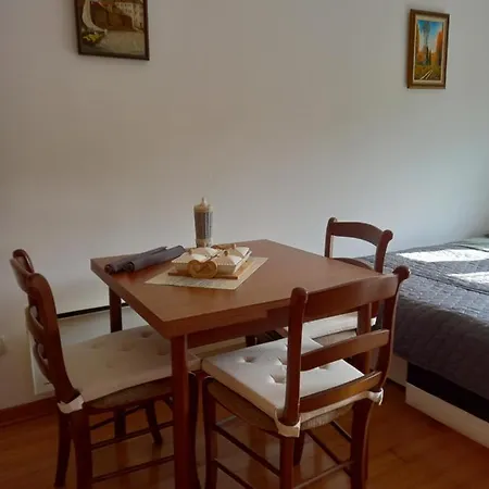 Apartment Vila Izvor,sneznik 100m Od Pesacke Zone Bulevar Srpskih Ratnika 55a Vrnjacka Banja