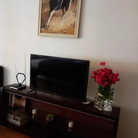 Vila Izvor,sneznik 100m Od Pesacke Zone Bulevar Srpskih Ratnika 55a Vrnjacka Banja